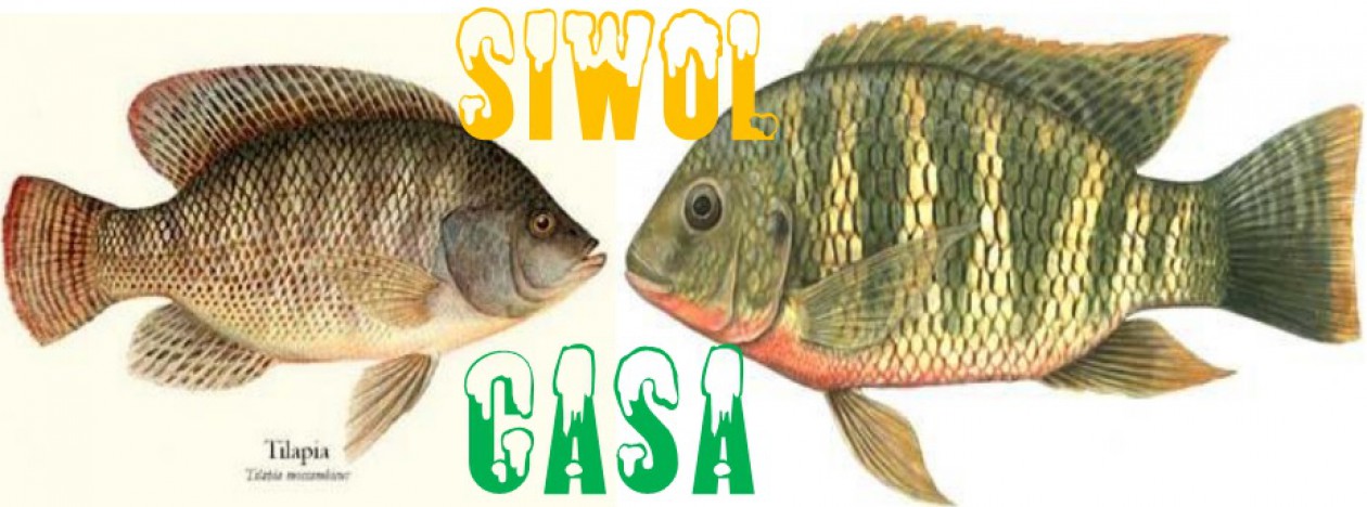Siwol Casa, pour la promotion de l'aquaculture en Casamance